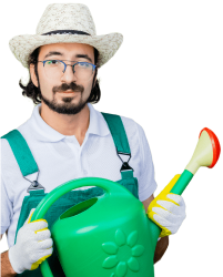 team member